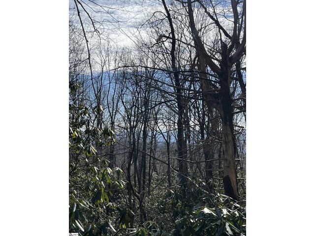 Photo of TBD Woodbine Road