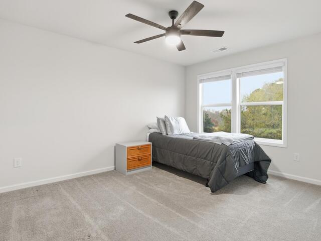 Photo of 333 Village Boundary