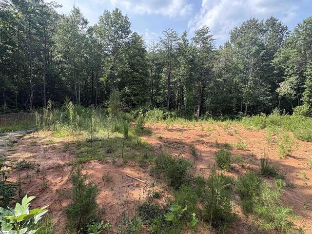 Photo of 119 Tugaloo Road