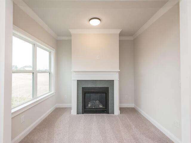 Photo of 222 Holly Branch Road
