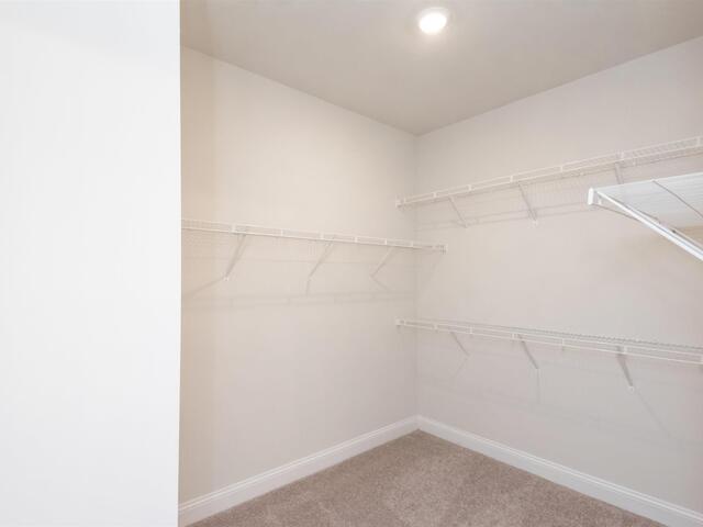 Photo of 222 Holly Branch Road