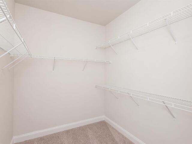 Photo of 222 Holly Branch Road