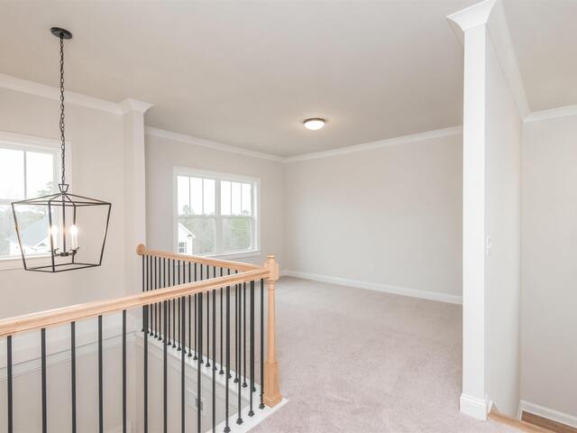 Photo of 222 Holly Branch Road