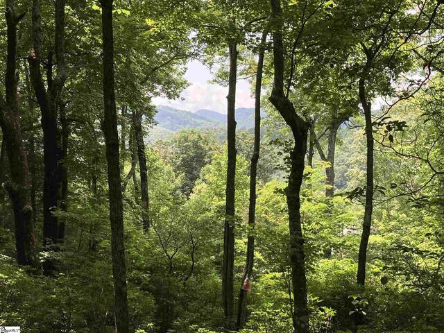 Photo of 21 High Vista Way