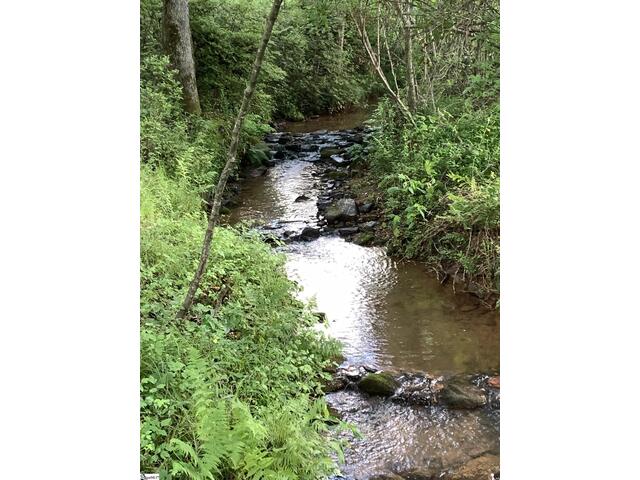 Photo of 187 Meadow Brook Lane