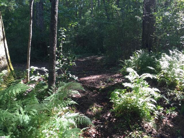 Photo of 187 Meadow Brook Lane