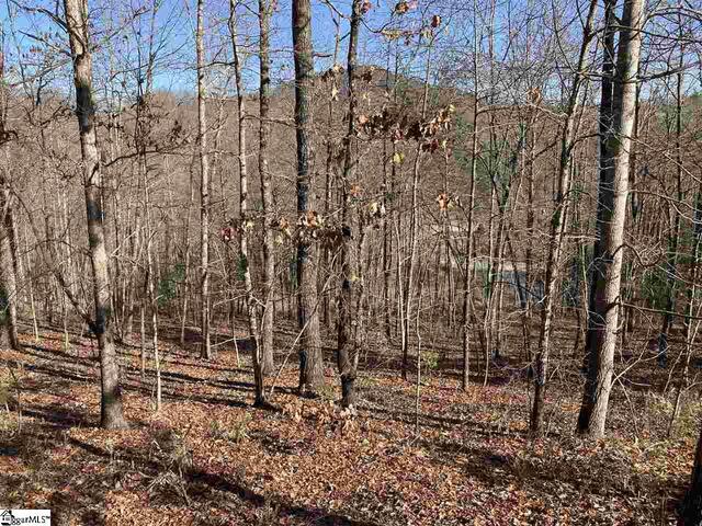 Photo of 7 Mountain Ash Way