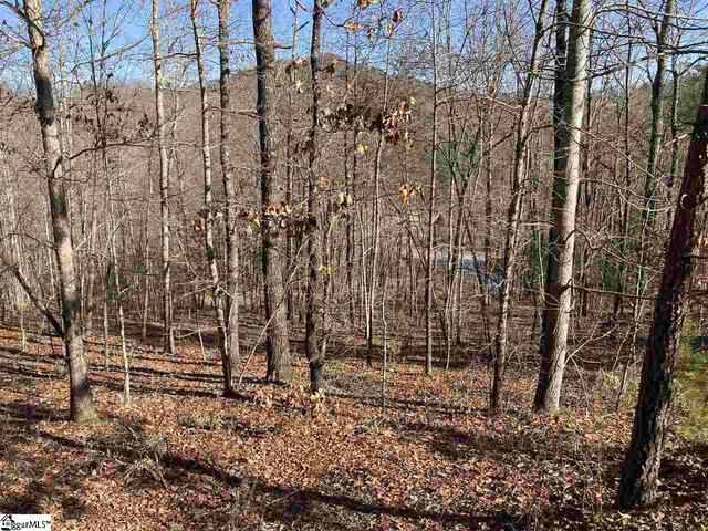 Photo of 7 Mountain Ash Way