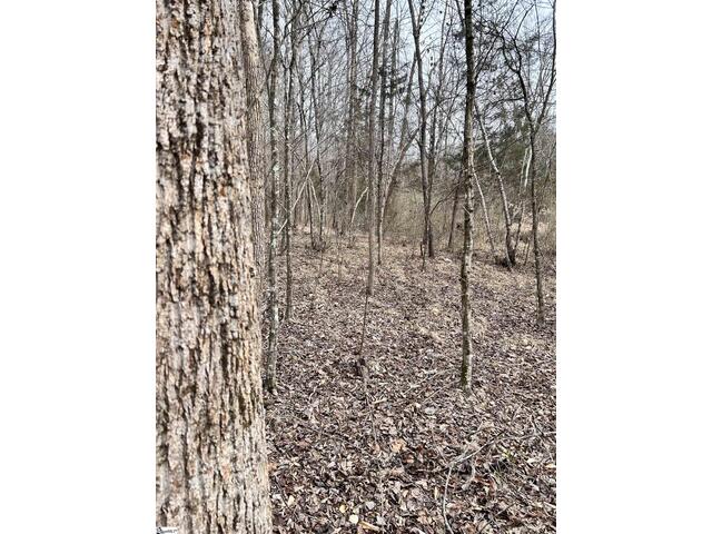 Photo of 509 Crowe Creek Road