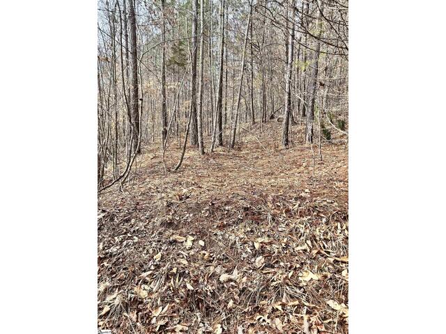 Photo of 509 Crowe Creek Road