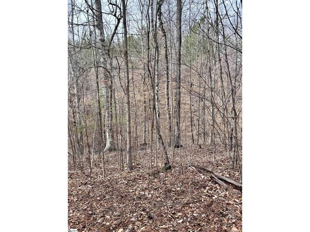 Photo of 509 Crowe Creek Road