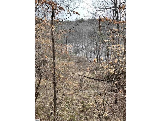 Photo of 509 Crowe Creek Road