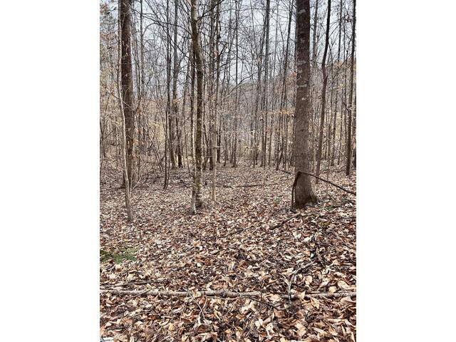 Photo of 509 Crowe Creek Road