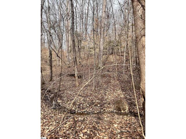 Photo of 509 Crowe Creek Road