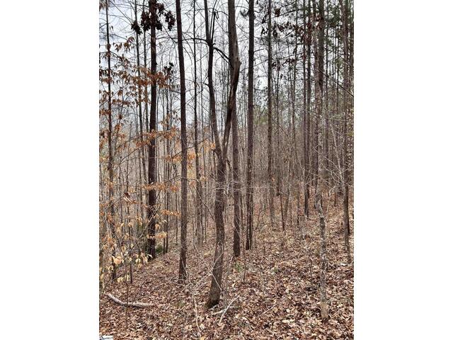 Photo of 509 Crowe Creek Road