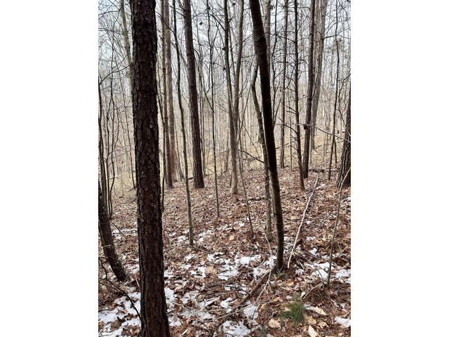 Photo of 509 Crowe Creek Road