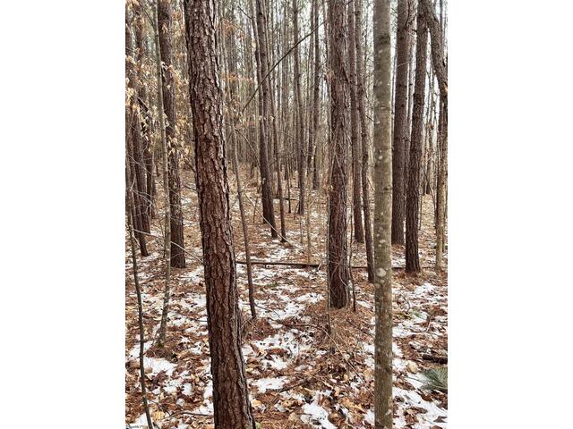 Photo of 509 Crowe Creek Road