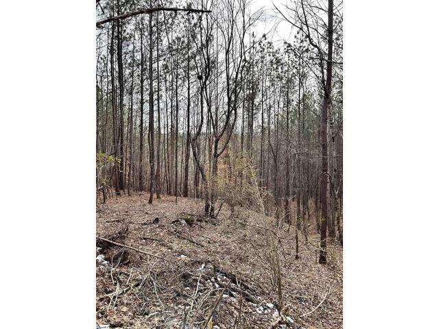 Photo of 509 Crowe Creek Road