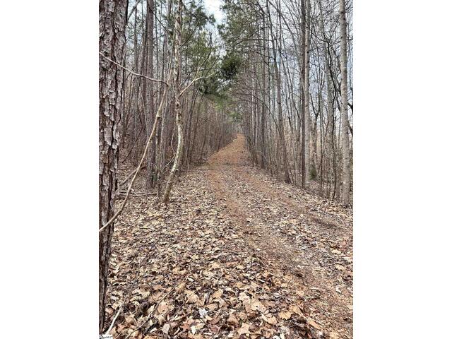 Photo of 509 Crowe Creek Road