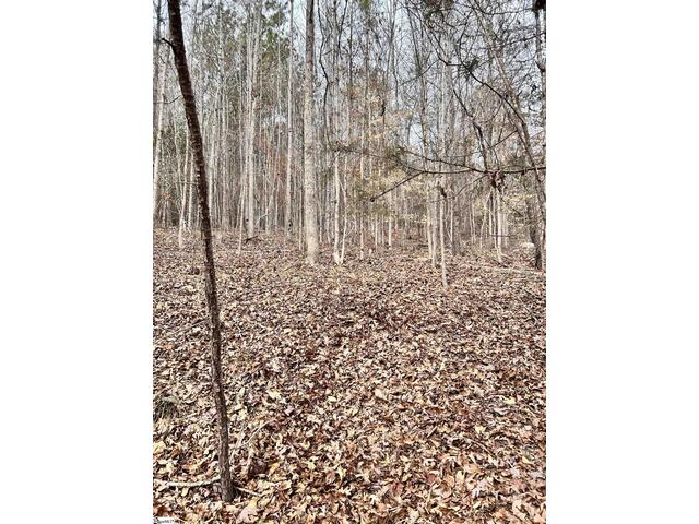 Photo of 509 Crowe Creek Road