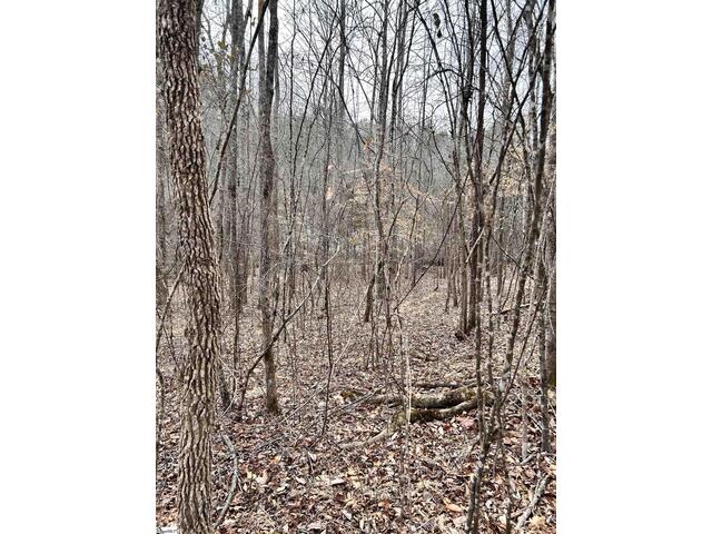 Photo of 509 Crowe Creek Road