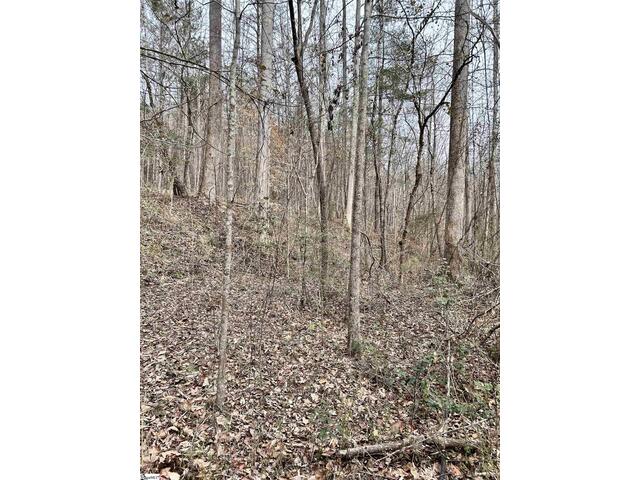 Photo of 509 Crowe Creek Road