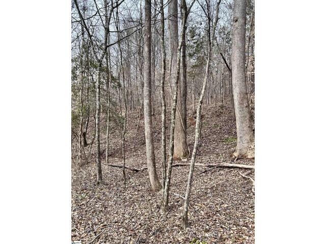 Photo of 509 Crowe Creek Road