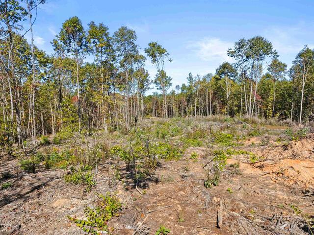 Photo of 4493 Hawkins Road