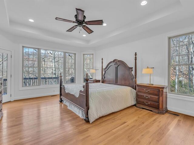 Photo of 20 Moccasin Flower Trail