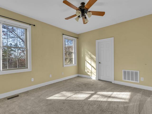 Photo of 20 Moccasin Flower Trail