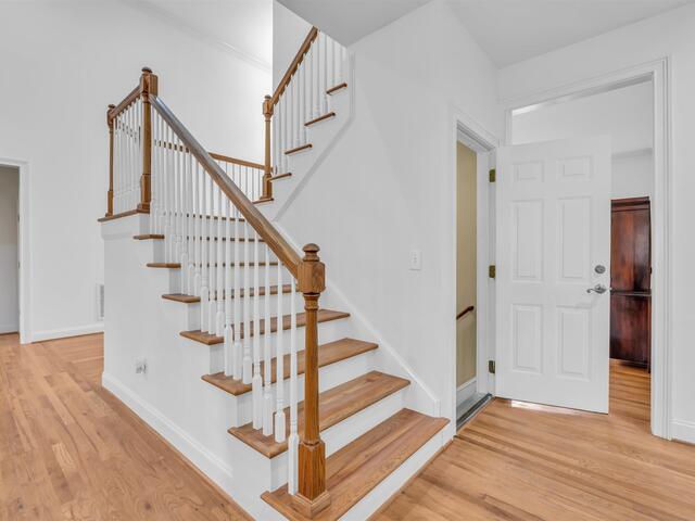 Photo of 20 Moccasin Flower Trail