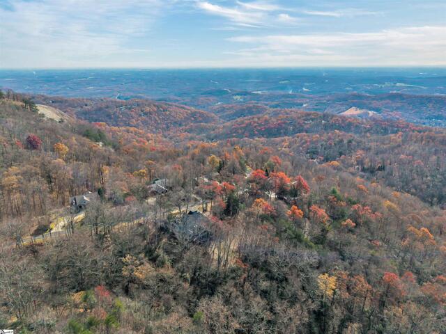 Photo of 20 Moccasin Flower Trail