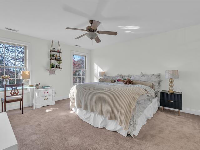 Photo of 20 Moccasin Flower Trail