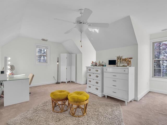 Photo of 20 Moccasin Flower Trail