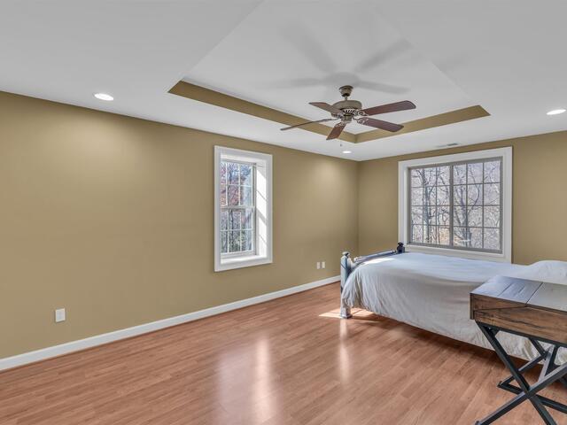 Photo of 20 Moccasin Flower Trail