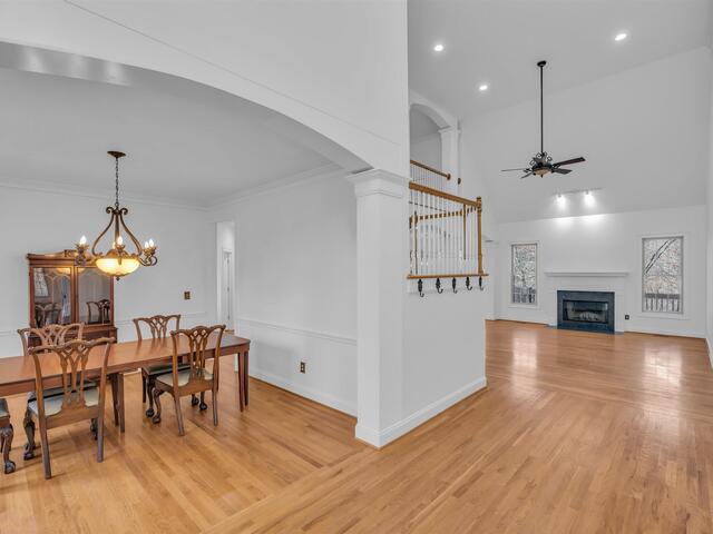 Photo of 20 Moccasin Flower Trail