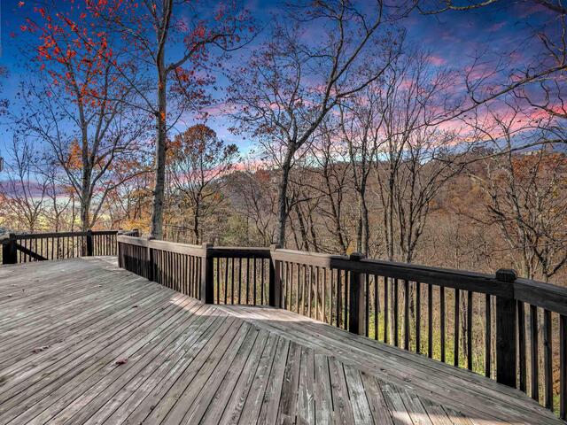 Photo of 20 Moccasin Flower Trail