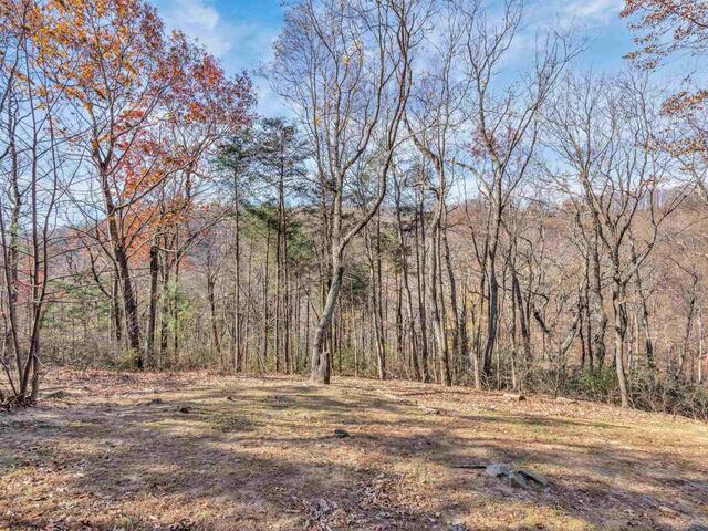 Photo of 20 Moccasin Flower Trail