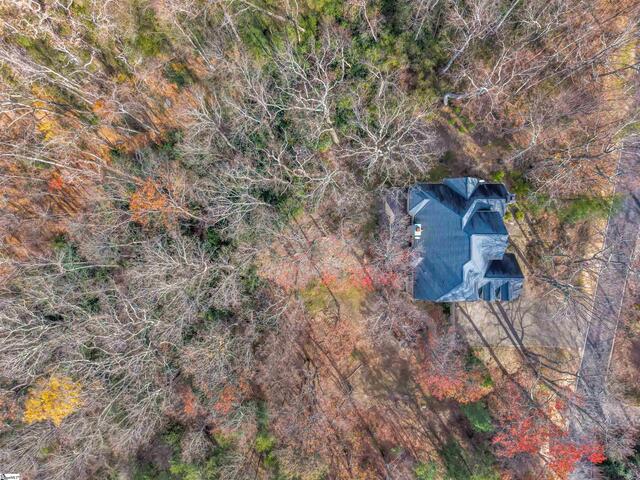 Photo of 20 Moccasin Flower Trail