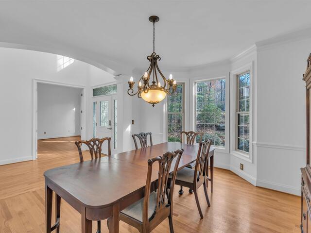 Photo of 20 Moccasin Flower Trail