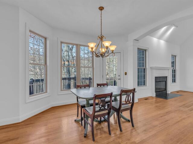 Photo of 20 Moccasin Flower Trail