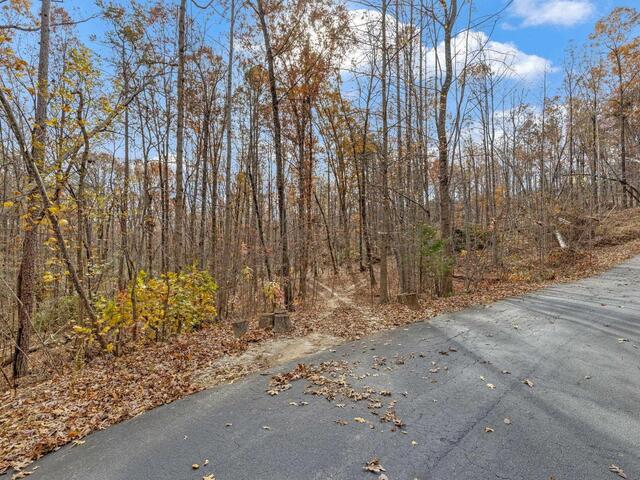 Photo of 45 Danna View Court