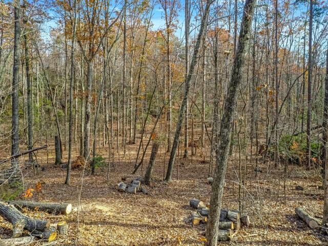 Photo of 45 Danna View Court