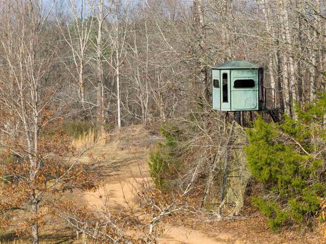 Photo of 1425 S Harper Street