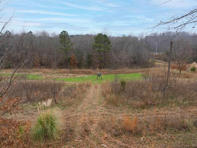 Photo of 1425 S Harper Street