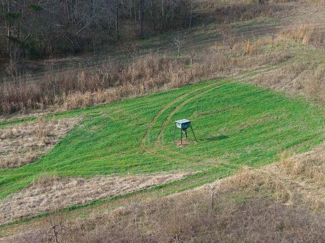 Photo of 1425 S Harper Street