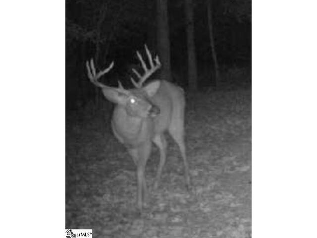 Photo of 193 Duncan Road