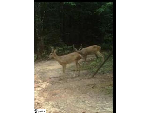 Photo of 193 Duncan Road