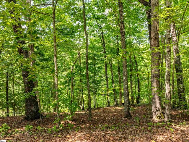 Photo of 67 Wildflower Lane