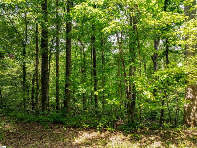 Photo of 67 Wildflower Lane